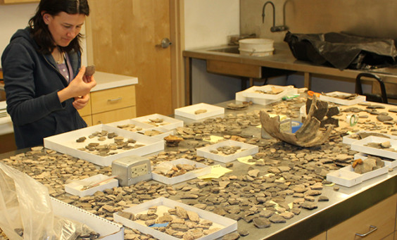 Staff examine a large number of ceramic sherds on a lab table