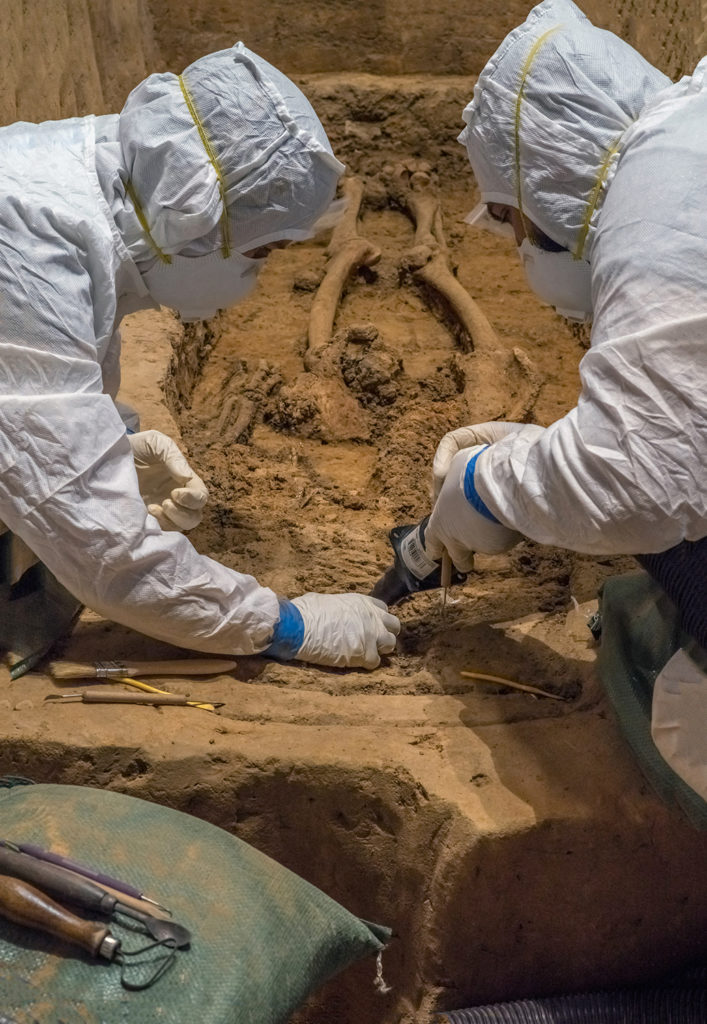 Archaeologists excavate skeletal remains