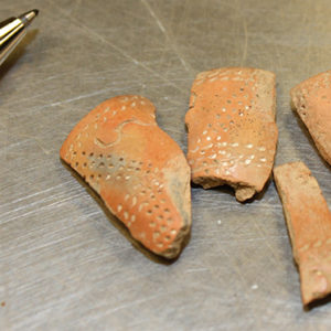 Four fragments of a clay tobacco pipe decorated with stippling on a lab table next to a pen for scale