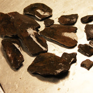 Wet gourd fragments on a lab table