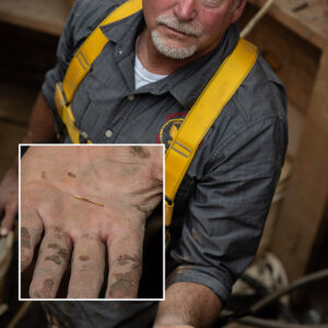 Director of Archaeology David Givens holds one of the copper alloy pins found in the Governor's Well.