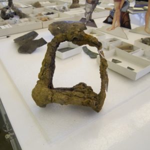 Rusted stirrup and other artifacts in trays