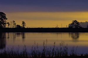 Marsh at sunrise