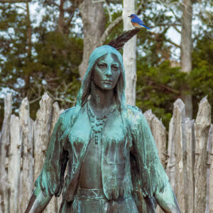 A bluebird keeps Pocahontas company on a spring day
