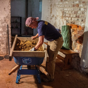 Staff Archaeologist Cailtin Delmas looks for artifacts in soil excavated from Bacon's Castle's cellar.