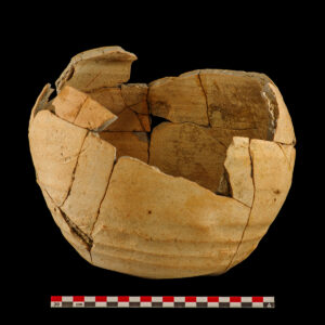 Globular shaped olive jar missing the rim (00427-JR)