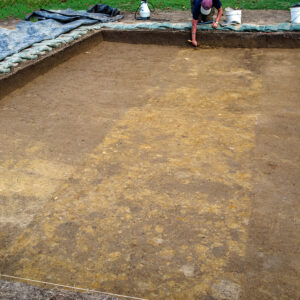 At the clay borrow pit excavations, archaeologist J.C. Harrington's trench from 1941 is clearly visible.