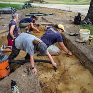 Excavations at the ditch near the large pine tree. Things have been slow going here due to the roots.