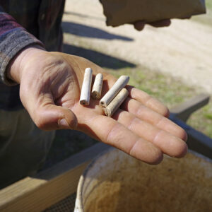 Some European pipes found in the north field excavations.