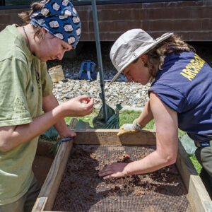 Field school student Lexy Marcuson and Archaeological Field Technician Ren Willis screen for artifacts in front of the Archaearium.