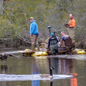 Some geese join the team during the GPR survey of the Pitch and Tar Swamp. (L-R) Director of Archaeology David Givens, Staff Archaeologist Natalie Reid, Staff Archaeologist Gabriel Brown, Dr. David Leslie of TerraSearch Geophysical.