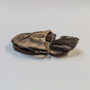 A child's shoe found in the fort's second well