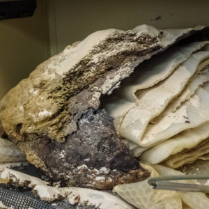 corroded backplate in an air abrasion tank