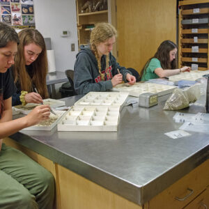 Field School students Lexy Marcuson, Kenna Abrams, Lainey Harding, Grace Blondin-Kissel, and Lily Haywood take a break from the heat outside to pick and sort artifacts from the John Smith Well.