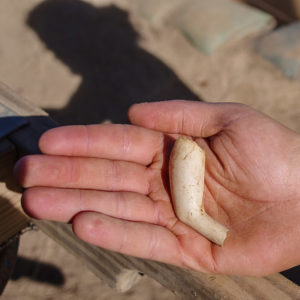 An English pipe bowl found close to the well