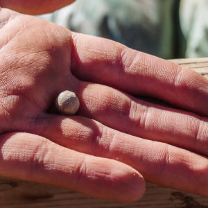 A lead shot found while excavating the area around the well