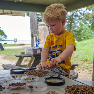A young visitor to the Ed Shed looks for artifacts in material excavated from John Smith's Well.