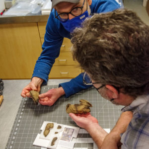 Cooper Marshall Scheetz and Archaeological Conservator Dr. Chris Wilkins discuss the wooden bowl.