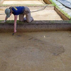 Archaeological Field Technician Ren Willis scores a burial found south of the Archaearium this month.