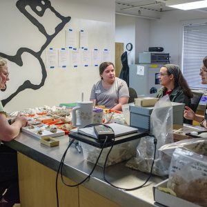 Assistant Curator Magen Hodapp gives a lesson on zooarchaeology to members of the field school.