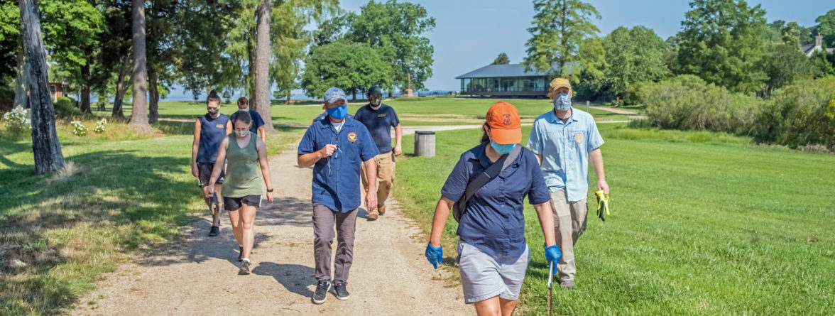 Archaeologists walking along a path