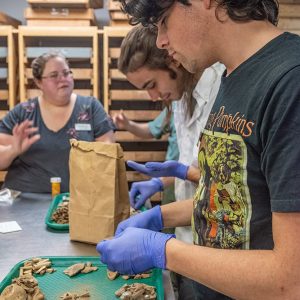 Assistant Curator Lauren Stephens leads a lesson on artifact sorting in the lab.