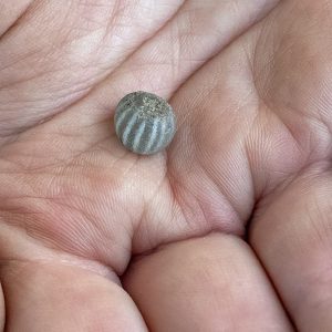A close-up of the gooseberry bead found at the cellar excavations