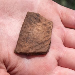 A sherd of native ceramic found in the cellar excavations
