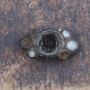 The top part of an incomplete brass ring found in the cellar excavations