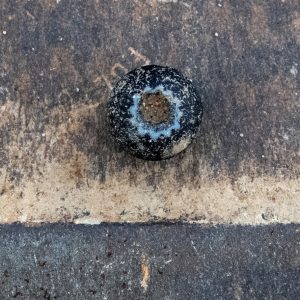 Chevron bead found at the cellar excavations