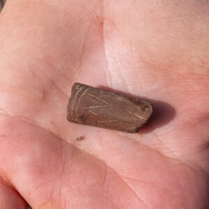 A partial pipestem made of local clay found during the Smithfield excavations
