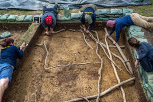 The team scores features in one of the squares southwest of the Archaearium prior to record photography. Working around the roots complicated the excavations but the team wanted to avoid damaging the old trees lining the James River.
