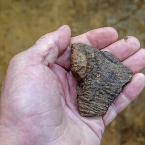 A sherd of Virginia Indian pottery found during the burial excavations at the 1607 burial ground