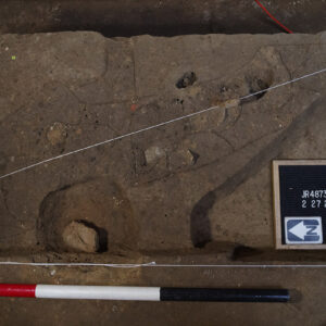 The section of James Fort's eastern palisade wall found inside the Church Tower. An archaeologist has scored the outlines of the individual logs comprising the wall.