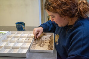 Archaeological Field Technician Hannah Barch picks through material from Pit 1.