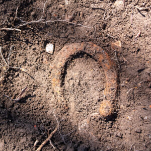 Close-up of the horseshoe found in a square southwest of the Archaearium