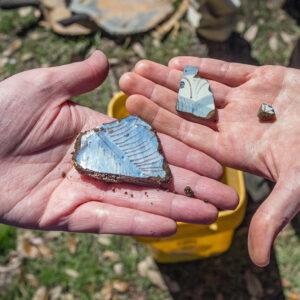 Sherds of Portuguese faience found in one of the new excavation squares southwest of the Archaearium. These date to ca. third quarter of the 17th century.