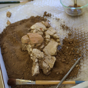 Plaster and brick from the Church Tower excavations