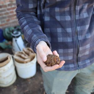 Archaeologist Anna Shackelford holds an unidentified iron object found in the dig north of the Church Tower