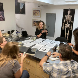 Jet expert Sarah Steele instructs our conservation and collections staff on identifying jet artifacts.