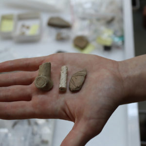 Pipe sherds that will be used in the Ed Shed for educational purposes.