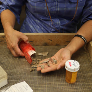 Window lead fragments found in the north Church Tower excavations