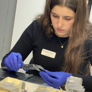 Intern Ava Geisel measures the diameter of one of the buttons in the collection.