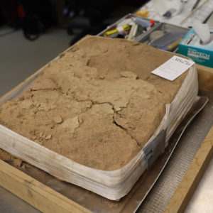 The church belfry plaster excavated west of the Church Tower