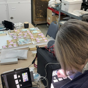 Judi Paulos takes photographs of some of the Virginia Indian projectile points in the Jamestown collection for inclusion in Christopher Egghart's guide on the subject.