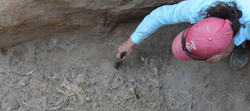 Archaeologist excavating artifacts