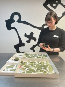 Conservation Intern Jackie Bucklew examines the case bottle fragments found in the Governor's Well.