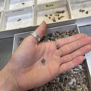 Associate Curator Emma Derry holds a bone die she found while picking through material from the fort's first well.