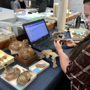 Intern Amber Poole investigating the jolly mask of the bearded man depicted on a large Bartmann jug