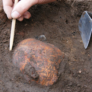 wooden pick being used to clean soil from around a half-buried human skull